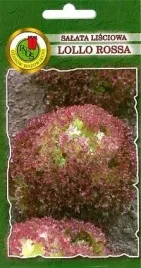 pnos-salata-lisciowa-lollo-rossa-1g