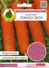 pnos-marchew-jadalna-pierwszy-zbior-5g-zaprawiana