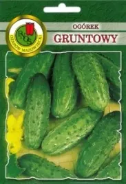 pnos-ogorek-basza-f1-5g