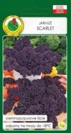 pnos-jarmuz-czerwony-scarlet-5-g