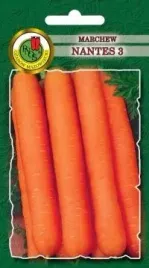 pnos-marchew-jadalna-nantes-3-5g