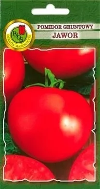 pnos-pomidor-jawor-1g