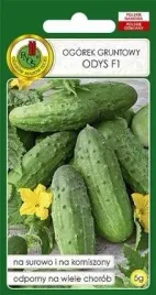 pnos-ogorek-odys-f1-5g