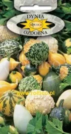 roltico-dynia-ozdobna-mieszanka-2g