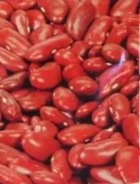 pnos-fasola-zwykla-karlowa-na-suche-nasiona-kreacja-50g