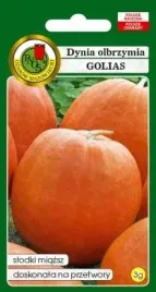 pnos-dynia-olbrzymia-golias-3g