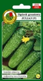 pnos-ogorek-julian-f1-5g