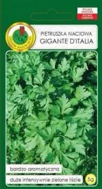 pnos-pietruszka-naciowa-gigante-d-italia-5-g