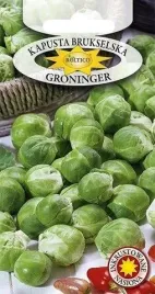 roltico-kapusta-brukselska-groninger-1g