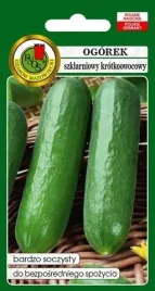 pnos-ogorek-twenty-f1-1g