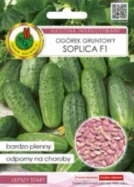 pnos-ogorek-soplica-f1-5g-zaprawiany