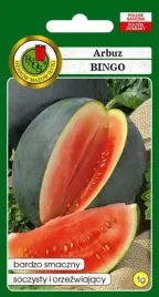 pnos-arbuz-bingo-1g