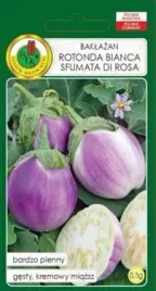 pnos-baklazan-rotonda-bianco-sfumata-di-rosa-05-g