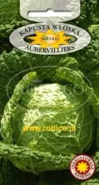 roltico-kapusta-wloska-aubervilliers-1g