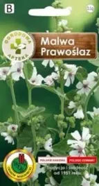 pnos-malwa-prawoslaz-05g