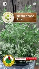 pnos-biedrzeniec-anyz-05g