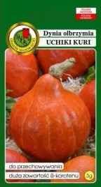 pnos-dynia-olbrzymia-uchiki-kuri-3g