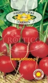 roltico-rzodkiewka-carmen-10g