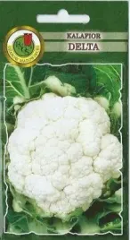 pnos-kalafior-delta-1g