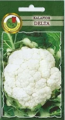 pnos-kalafior-delta-1g
