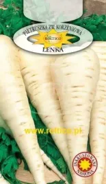 roltico-pietruszka-lenka-5g