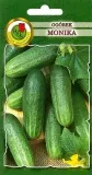 pnos-ogorek-monika-2g