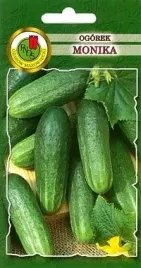 pnos-ogorek-monika-2g