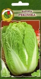 pnos-kapusta-pekinska-capitol-05g