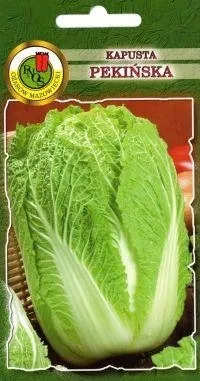 pnos-kapusta-pekinska-capitol-05g