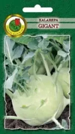 pnos-kalarepa-gigant-2g
