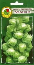 pnos-kapusta-brukselska-dolores-f1-05g