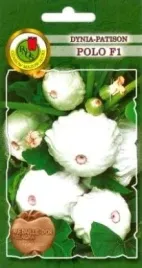 pnos-dynia-zwyczajna-patison-polo-f1-3g