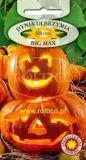 roltico-dynia-olbrzymia-big-max-3g