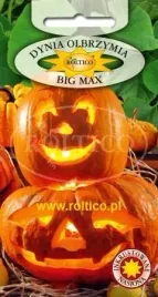 roltico-dynia-olbrzymia-big-max-3g