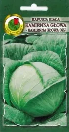 pnos-kapusta-glowiasta-biala-kamienna-glowa-ozj-5g