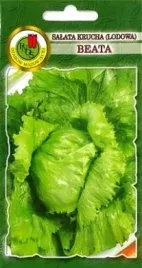 pnos-salata-beata-1g-lodowa