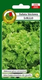 pnos-salata-lisciowa-lollo-1g