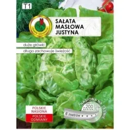 pnos-salata-justyna-6m-na-tasmie