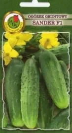 pnos-ogorek-sander-f1-5g