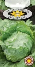 roltico-salata-krolowa-lata-1g