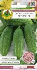 pnos-ogorek-gruntowy-sremski-f1-inkrustowany-65-g