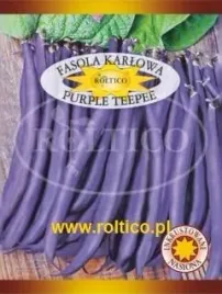 roltico-fasola-zwykla-karlowa-purple-teepee-30g