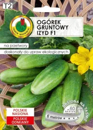 pnos-ogorek-izyd-f1-6m-na-tasmie