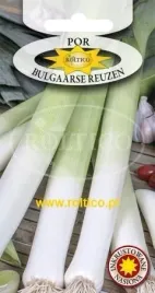 roltico-por-bulgaarse-reuzen-1g