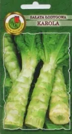 pnos-salata-lodgowa-karola-05g