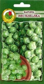 pnos-kapusta-brukselska-long-island-1g