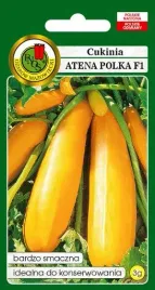 pnos-dynia-zwyczajna-cukinia-atena-polka-3-g