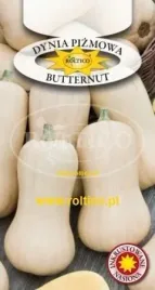 roltico-dynia-pizmowa-butternut-2g