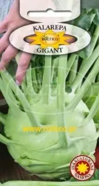 roltico-kalarepa-gigant-2g
