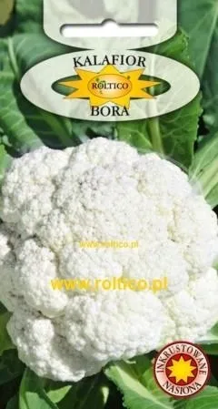 roltico-kalafior-bora-1g